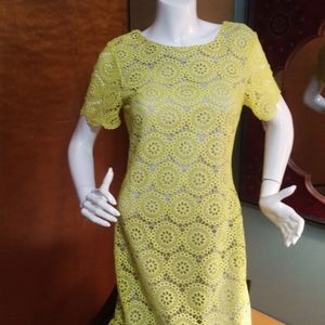 Lucy paris neon lace